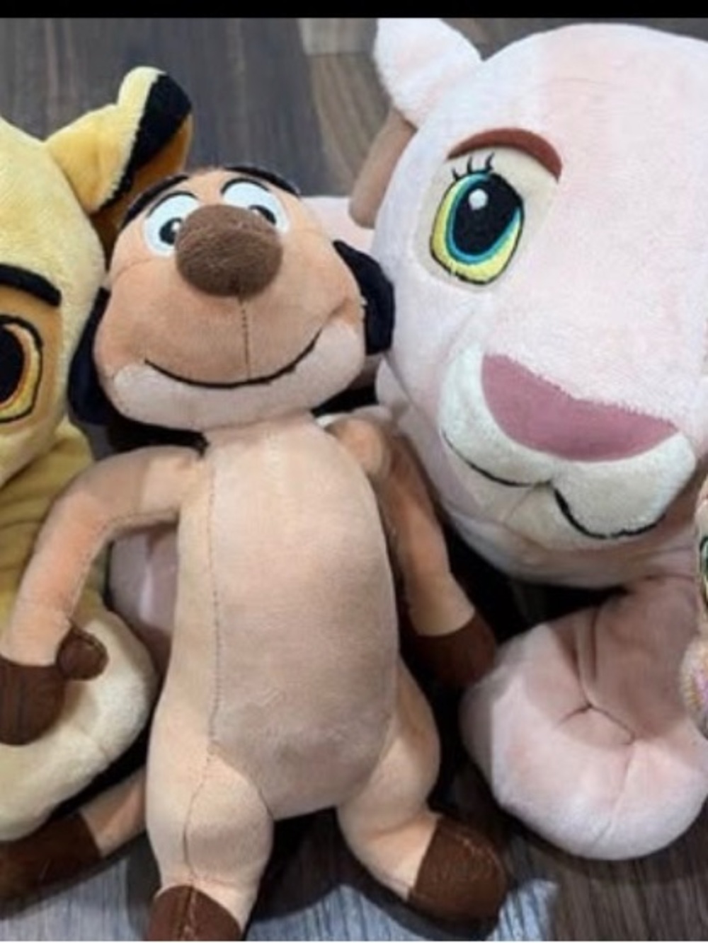 Simba, Nala, Kiara, and Timon